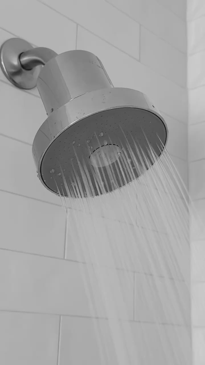 root. Filtered Showerhead
